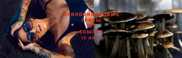 соль ск Алексеевка
