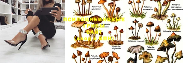 соль ск Алексеевка