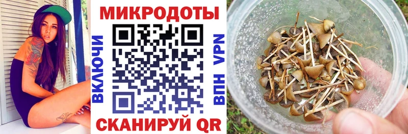 Галлюциногенные грибы мухоморы  Лениногорск 