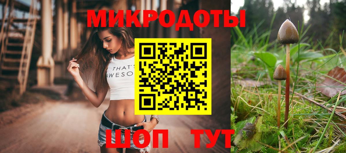 Галлюциногенные грибы мицелий Лениногорск