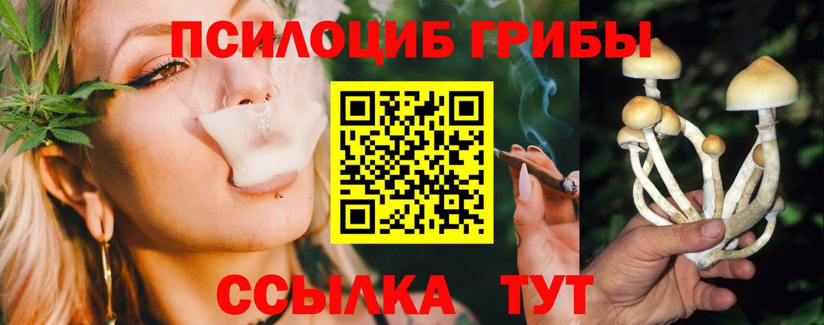 Лениногорск  Галлюциногенные грибы мухоморы  Вход с VPN  Псилоцибиновые грибы Magic Shrooms 